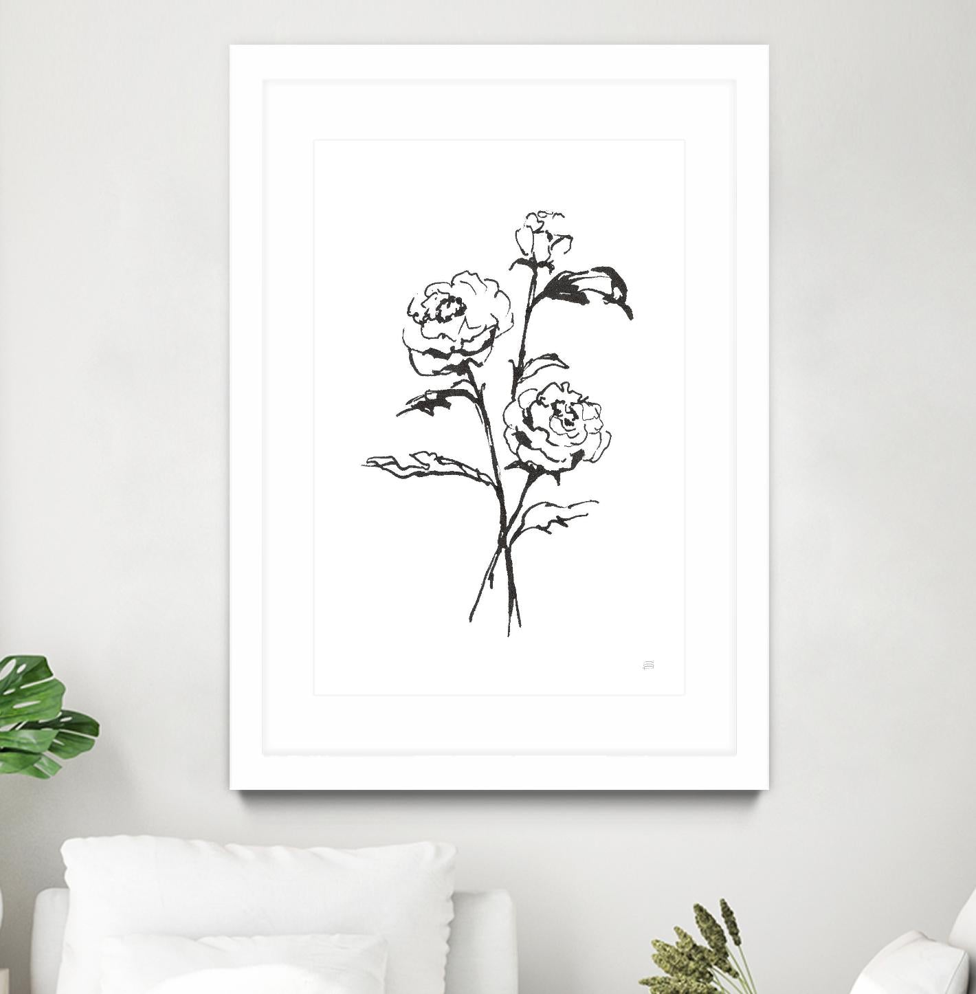 Line Ranunculus I by Chris Paschke on GIANT ART - florals black