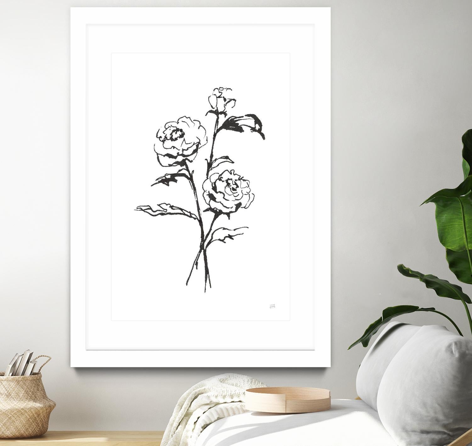 Line Ranunculus I by Chris Paschke on GIANT ART - florals black