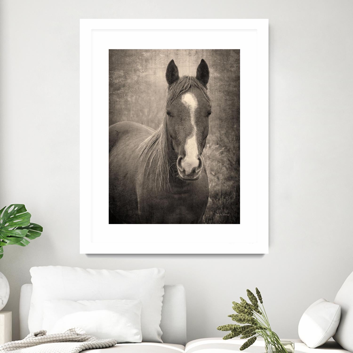 Heres Looking at You II by Debra Van on GIANT ART - animals animals