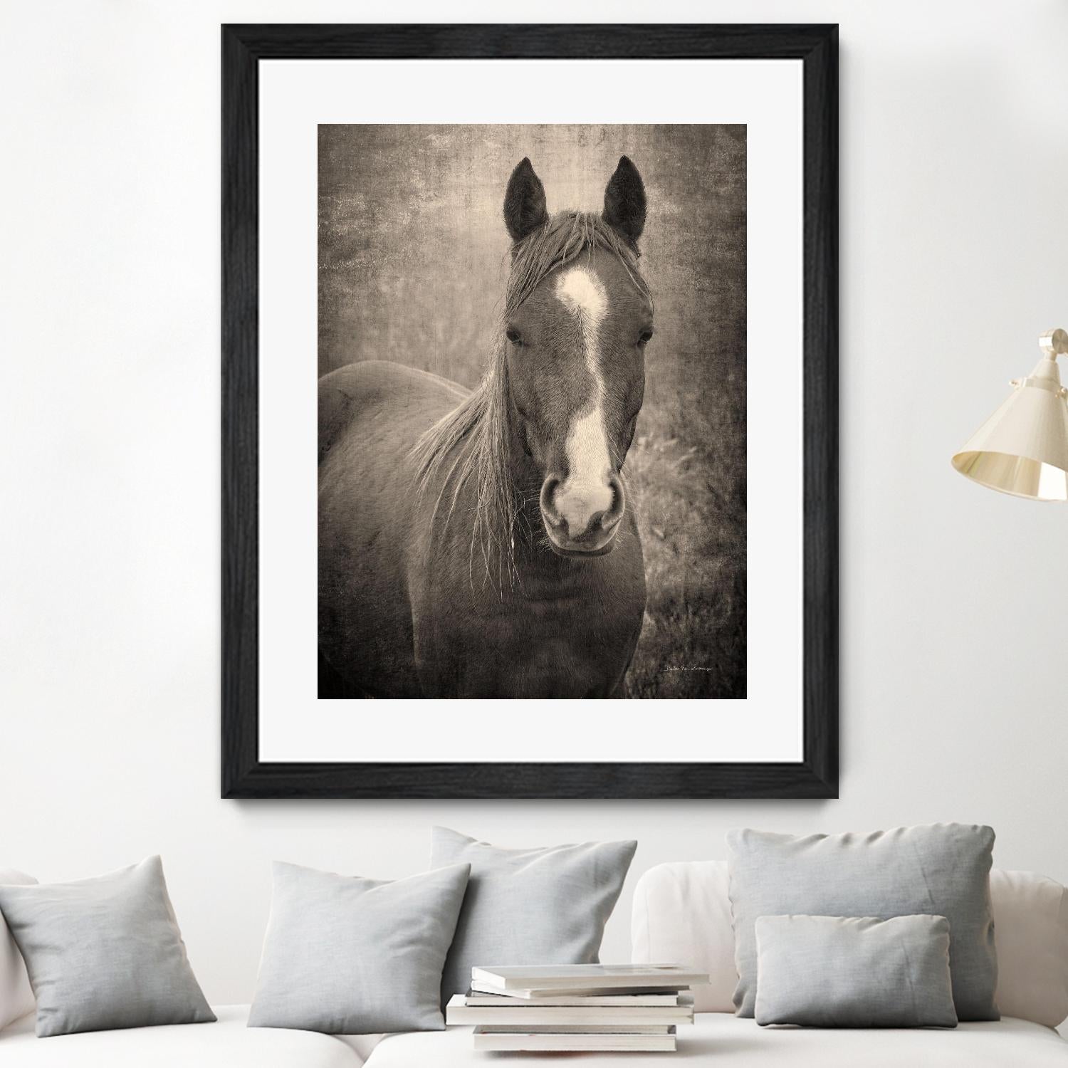 Heres Looking at You II by Debra Van on GIANT ART - animals animals