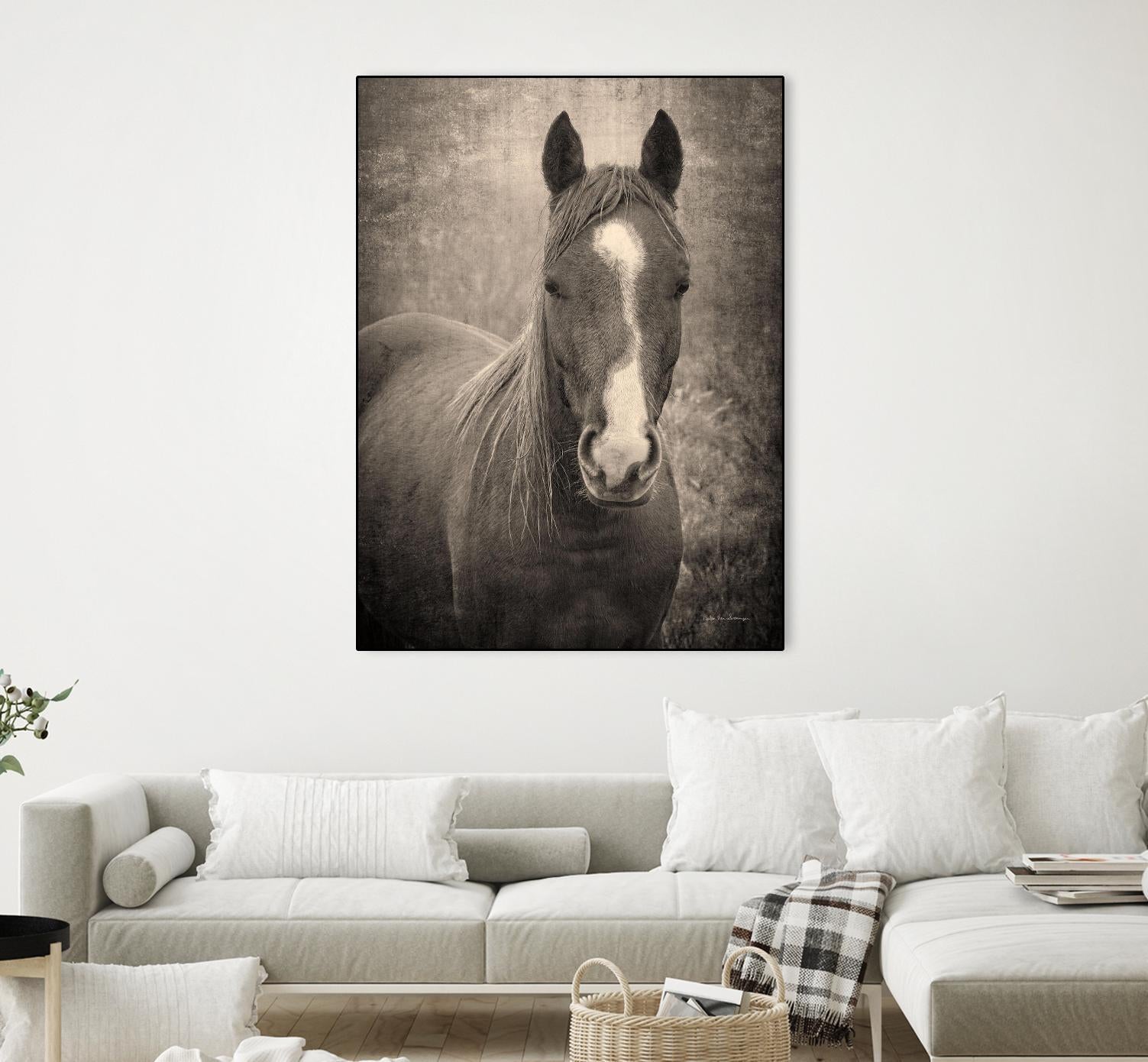 Heres Looking at You II by Debra Van on GIANT ART - animals animals