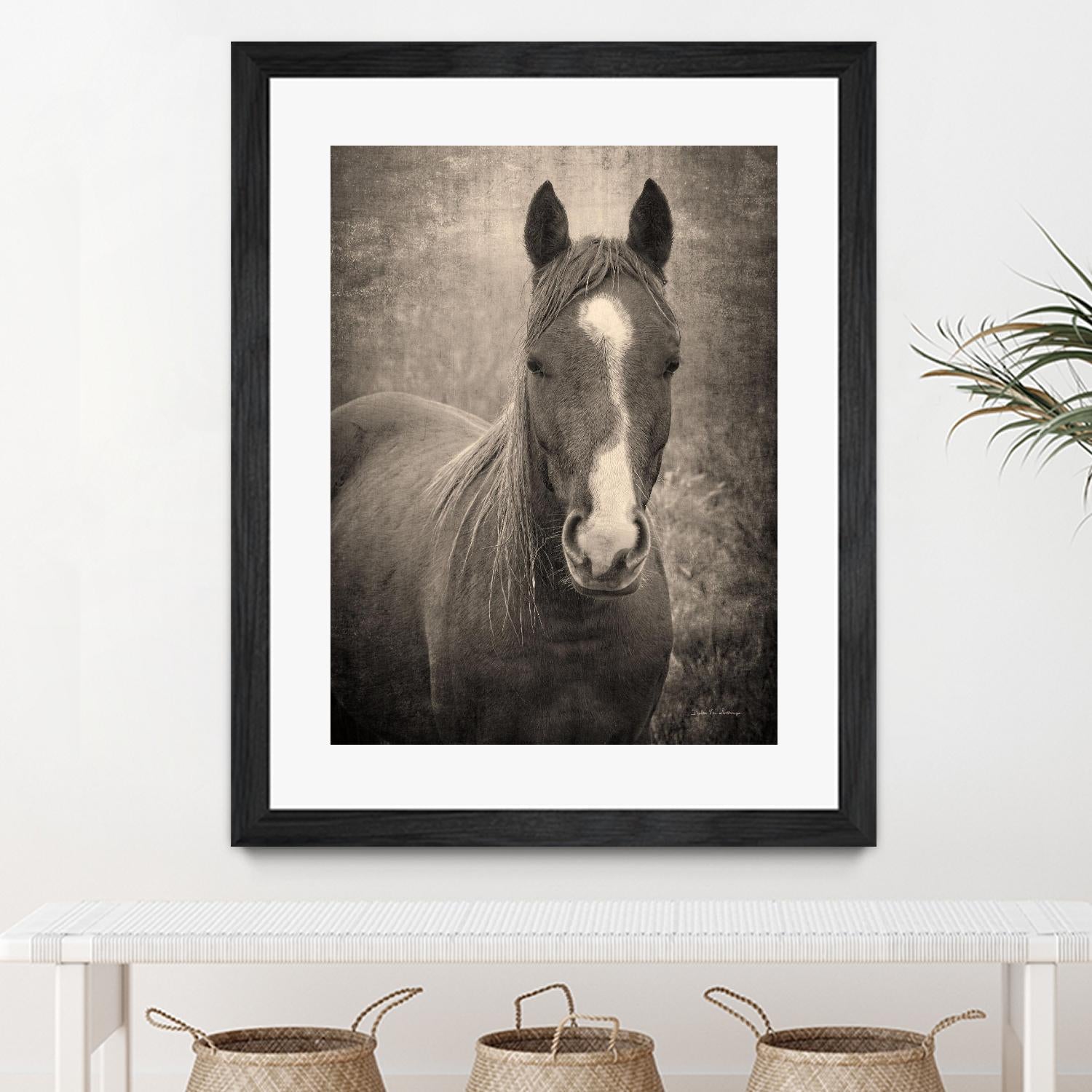 Heres Looking at You II by Debra Van on GIANT ART - animals animals