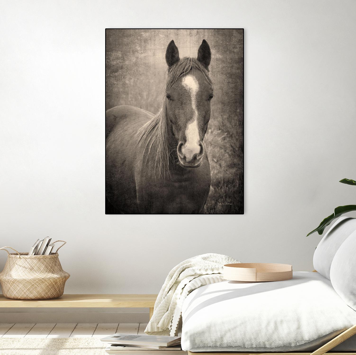 Heres Looking at You II by Debra Van on GIANT ART - animals animals