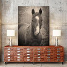 Heres Looking at You II by Debra Van on GIANT ART - animals animals