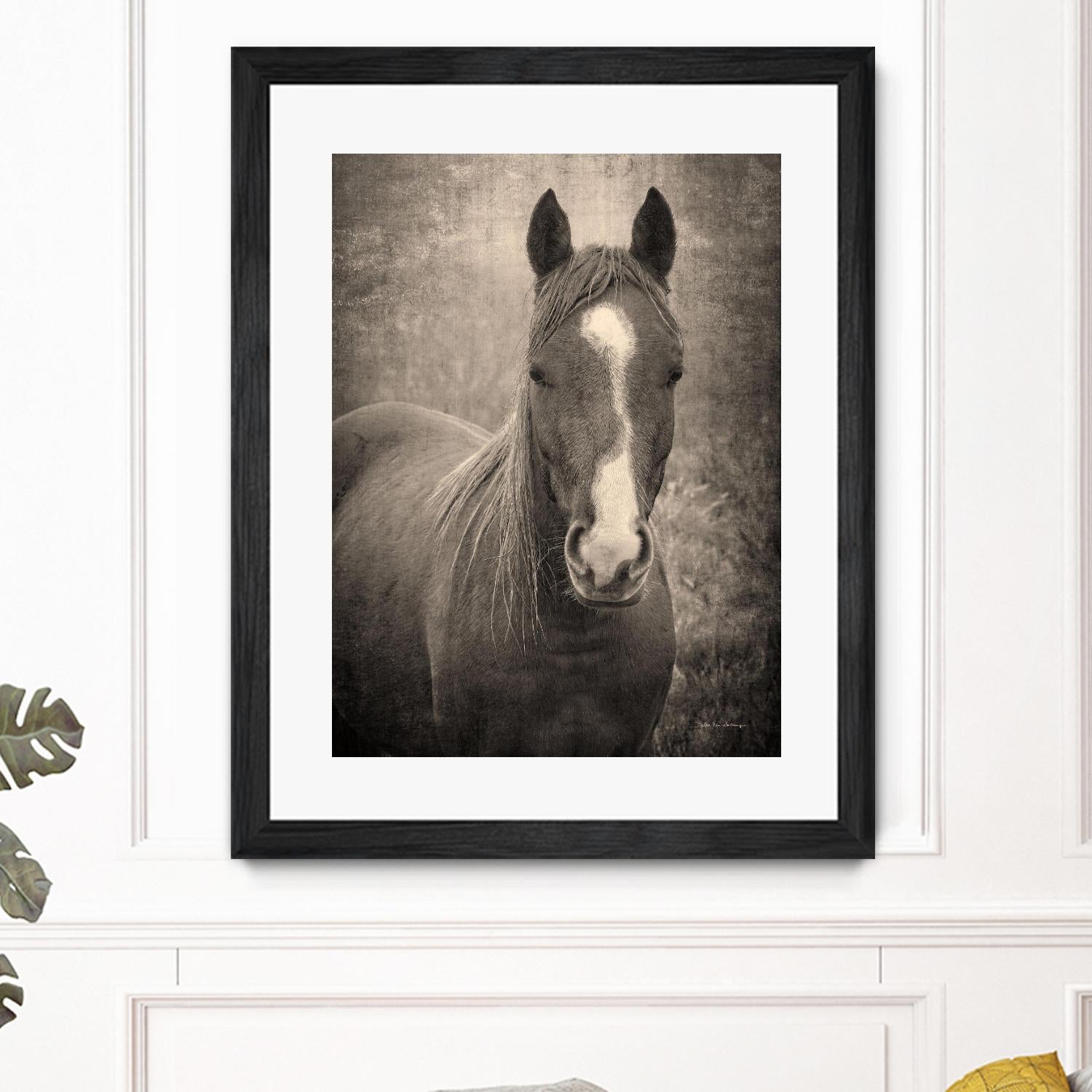 Heres Looking at You II by Debra Van on GIANT ART - animals animals