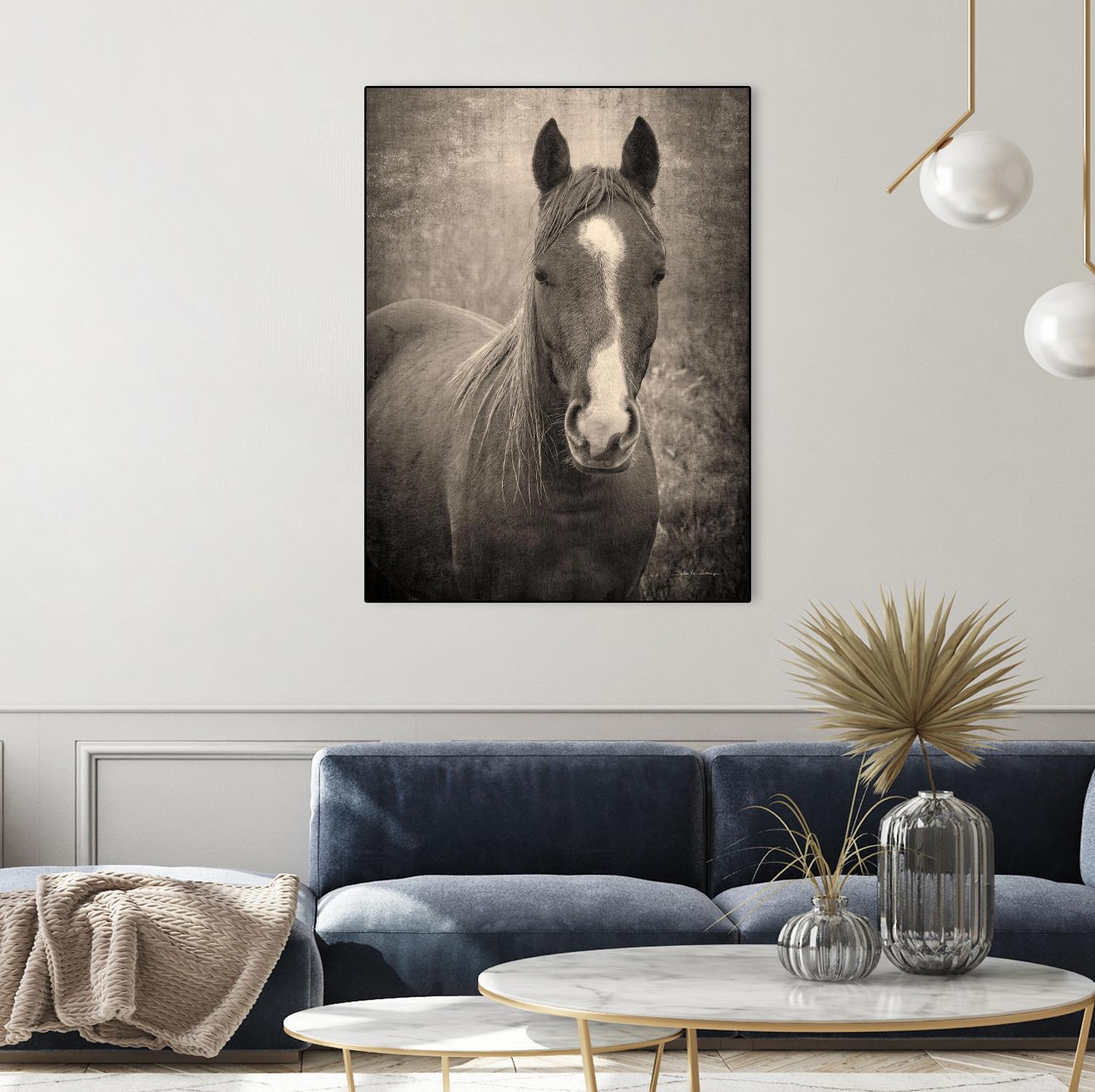 Heres Looking at You II by Debra Van on GIANT ART - animals animals