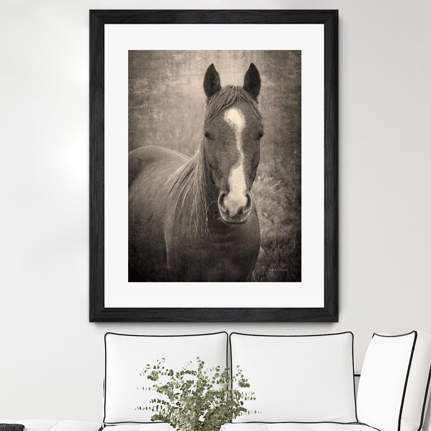 Heres Looking at You II by Debra Van on GIANT ART - animals animals