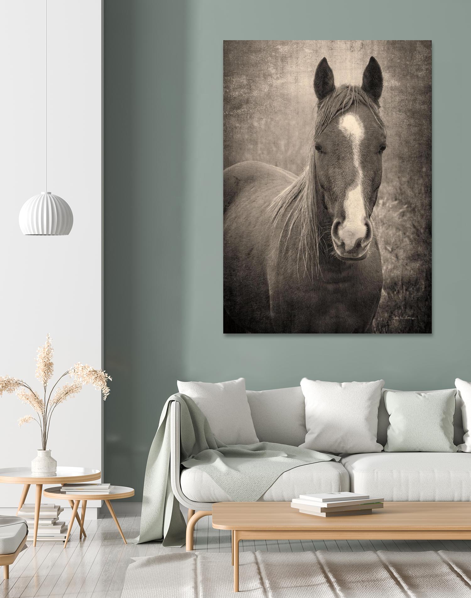 Heres Looking at You II by Debra Van on GIANT ART - animals animals