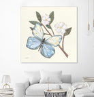 In the Garden Butterfly by Courtney Prahl on GIANT ART - animals black