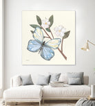 In the Garden Butterfly by Courtney Prahl on GIANT ART - animals black