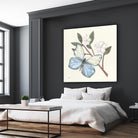 In the Garden Butterfly by Courtney Prahl on GIANT ART - animals black