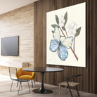 In the Garden Butterfly by Courtney Prahl on GIANT ART - animals black