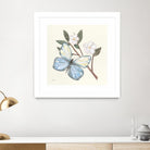 In the Garden Butterfly by Courtney Prahl on GIANT ART - animals black