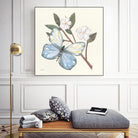 In the Garden Butterfly by Courtney Prahl on GIANT ART - animals black