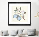 In the Garden Butterfly by Courtney Prahl on GIANT ART - animals black