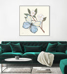 In the Garden Butterfly by Courtney Prahl on GIANT ART - animals black