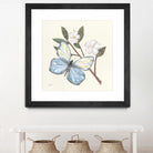 In the Garden Butterfly by Courtney Prahl on GIANT ART - animals black