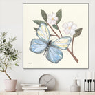 In the Garden Butterfly by Courtney Prahl on GIANT ART - animals black