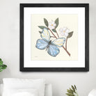 In the Garden Butterfly by Courtney Prahl on GIANT ART - animals black