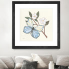 In the Garden Butterfly by Courtney Prahl on GIANT ART - animals black