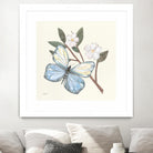 In the Garden Butterfly by Courtney Prahl on GIANT ART - animals black