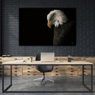 Eagle Bow by Nathan Larson on GIANT ART - animals american eagle