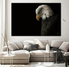 Eagle Bow by Nathan Larson on GIANT ART - animals american eagle