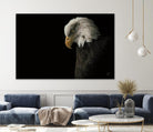 Eagle Bow by Nathan Larson on GIANT ART - animals american eagle