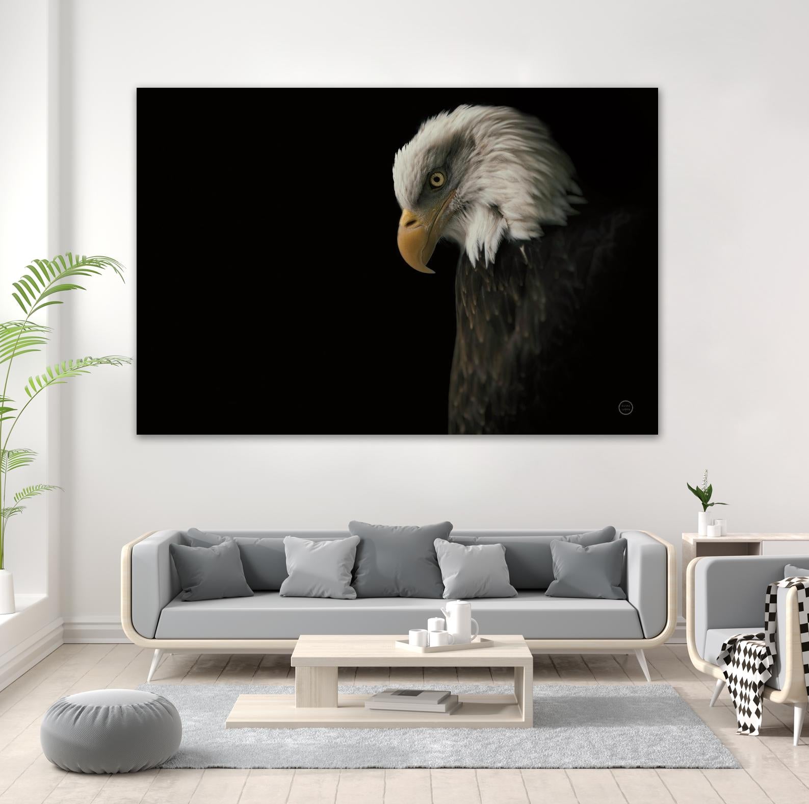 Eagle Bow by Nathan Larson on GIANT ART - animals american eagle