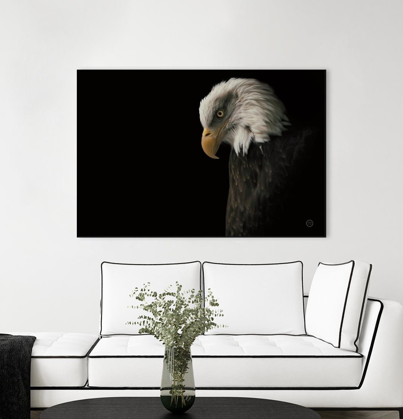 Eagle Bow by Nathan Larson on GIANT ART - animals american eagle