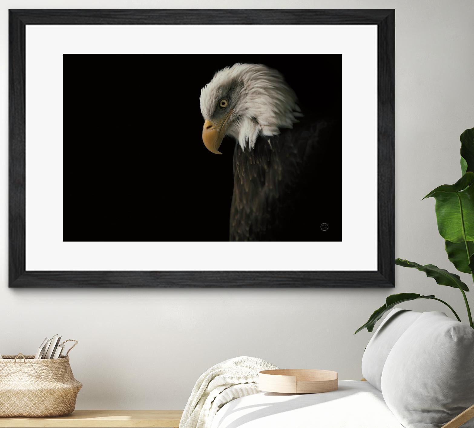 Eagle Bow by Nathan Larson on GIANT ART - white animals oiseau