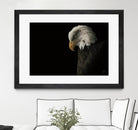 Eagle Bow by Nathan Larson on GIANT ART - white animals oiseau