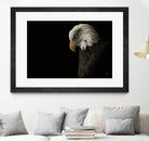 Eagle Bow by Nathan Larson on GIANT ART - white animals oiseau