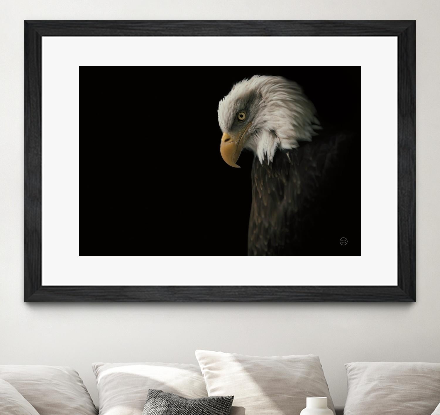 Eagle Bow by Nathan Larson on GIANT ART - white animals oiseau