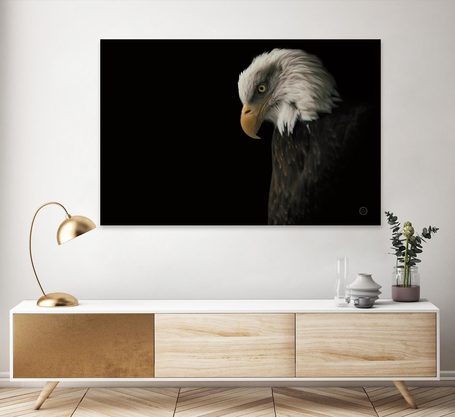 Eagle Bow by Nathan Larson on GIANT ART - white animals oiseau