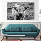 Highland Cow Staring Contest by Nathan Larson on GIANT ART - animals animals