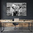 Highland Cow Staring Contest by Nathan Larson on GIANT ART - animals animals