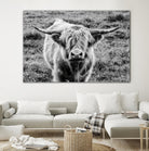 Highland Cow Staring Contest by Nathan Larson on GIANT ART - animals animals