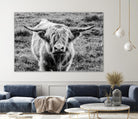 Highland Cow Staring Contest by Nathan Larson on GIANT ART - animals animals