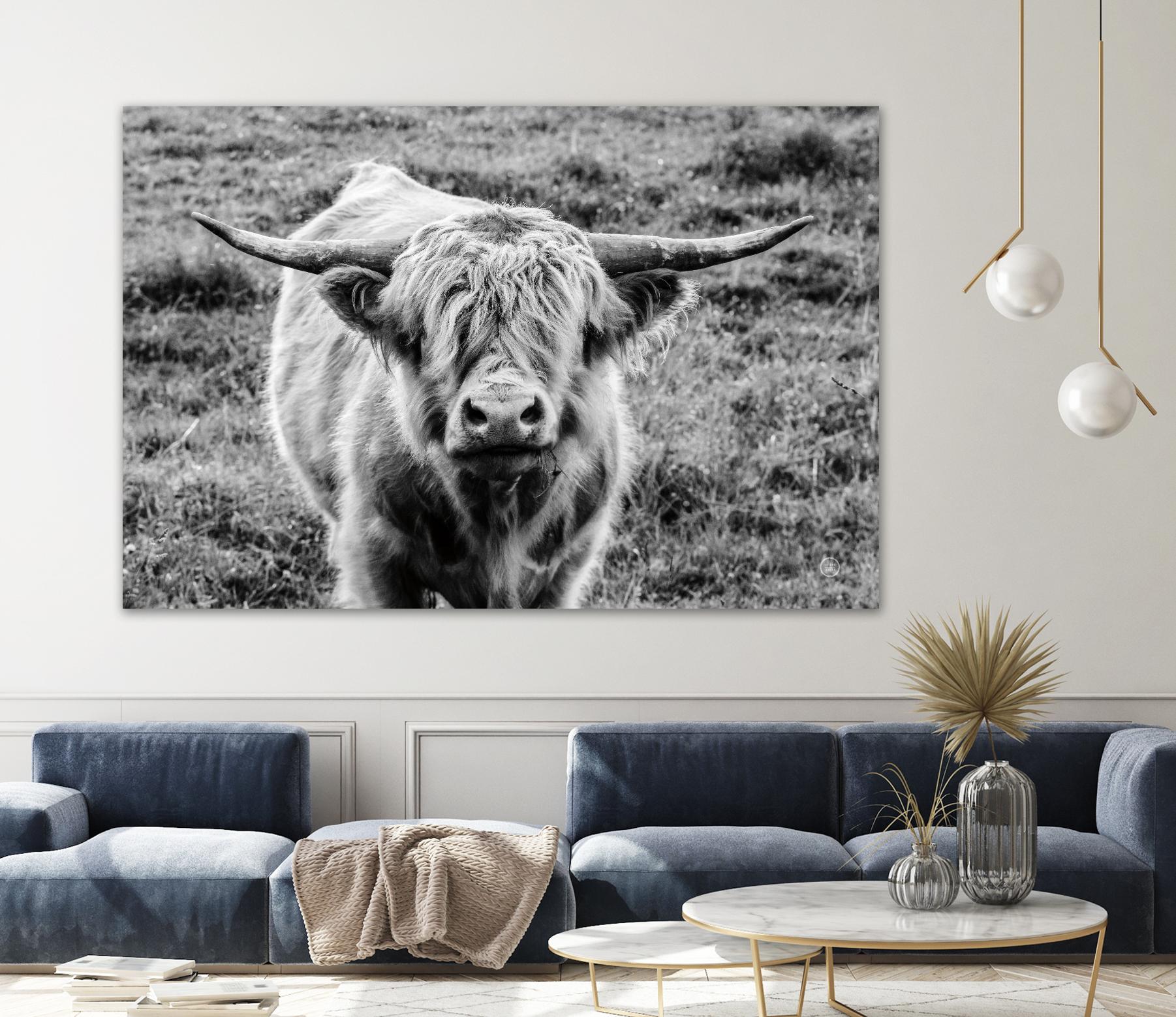 Highland Cow Staring Contest by Nathan Larson on GIANT ART - animals animals
