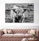 Highland Cow Staring Contest by Nathan Larson on GIANT ART - animals animals