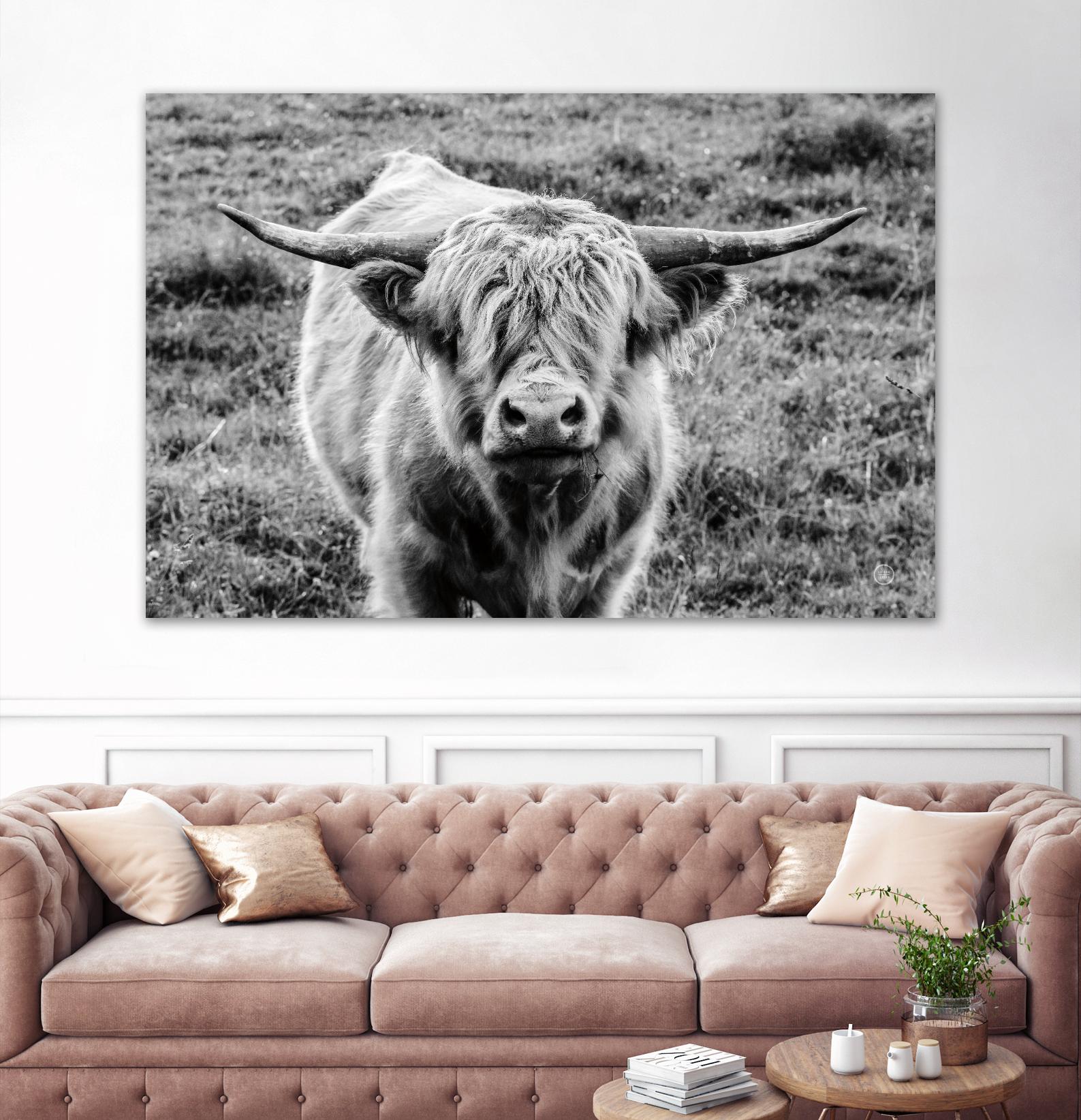 Highland Cow Staring Contest by Nathan Larson on GIANT ART - animals animals