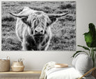 Highland Cow Staring Contest by Nathan Larson on GIANT ART - animals animals
