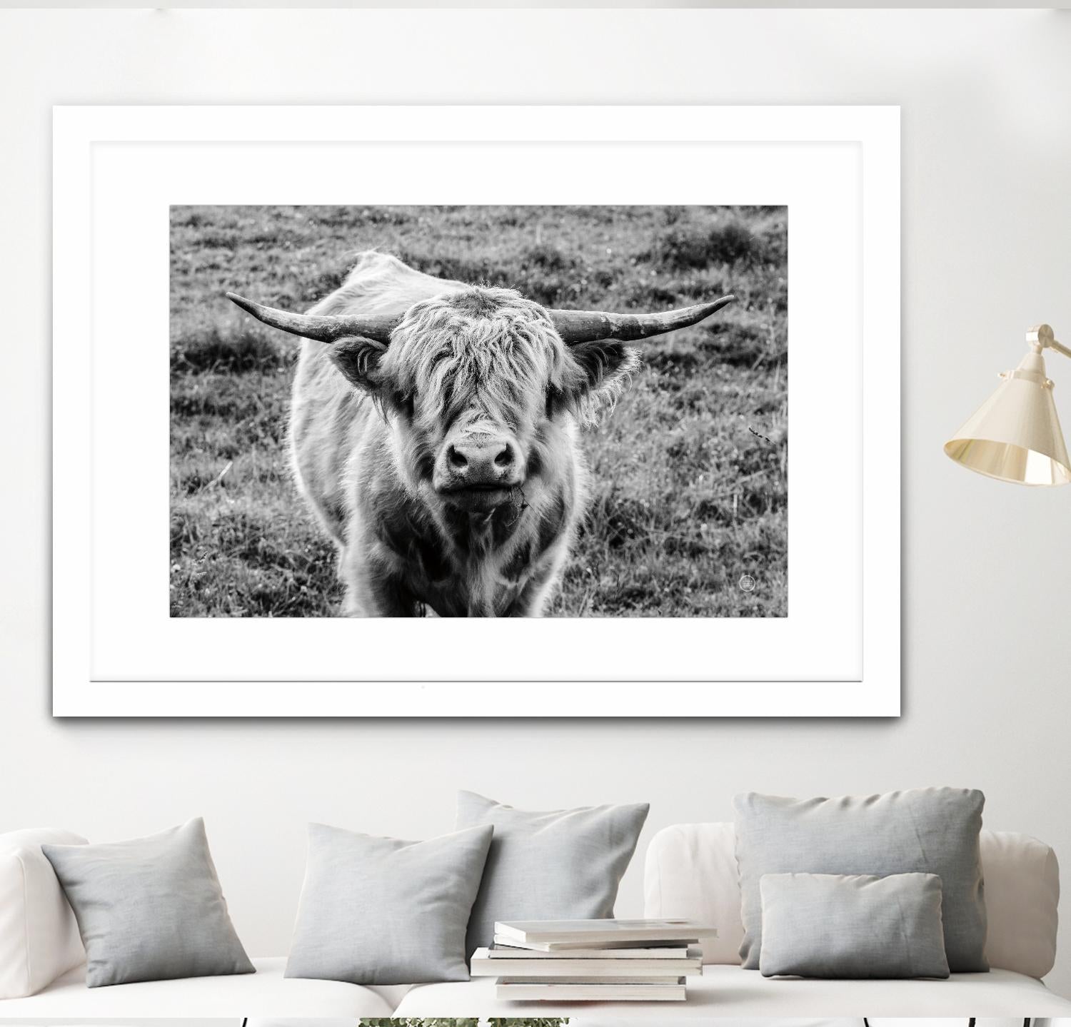 Highland Cow Staring Contest by Nathan Larson on GIANT ART - white animals highland cattle