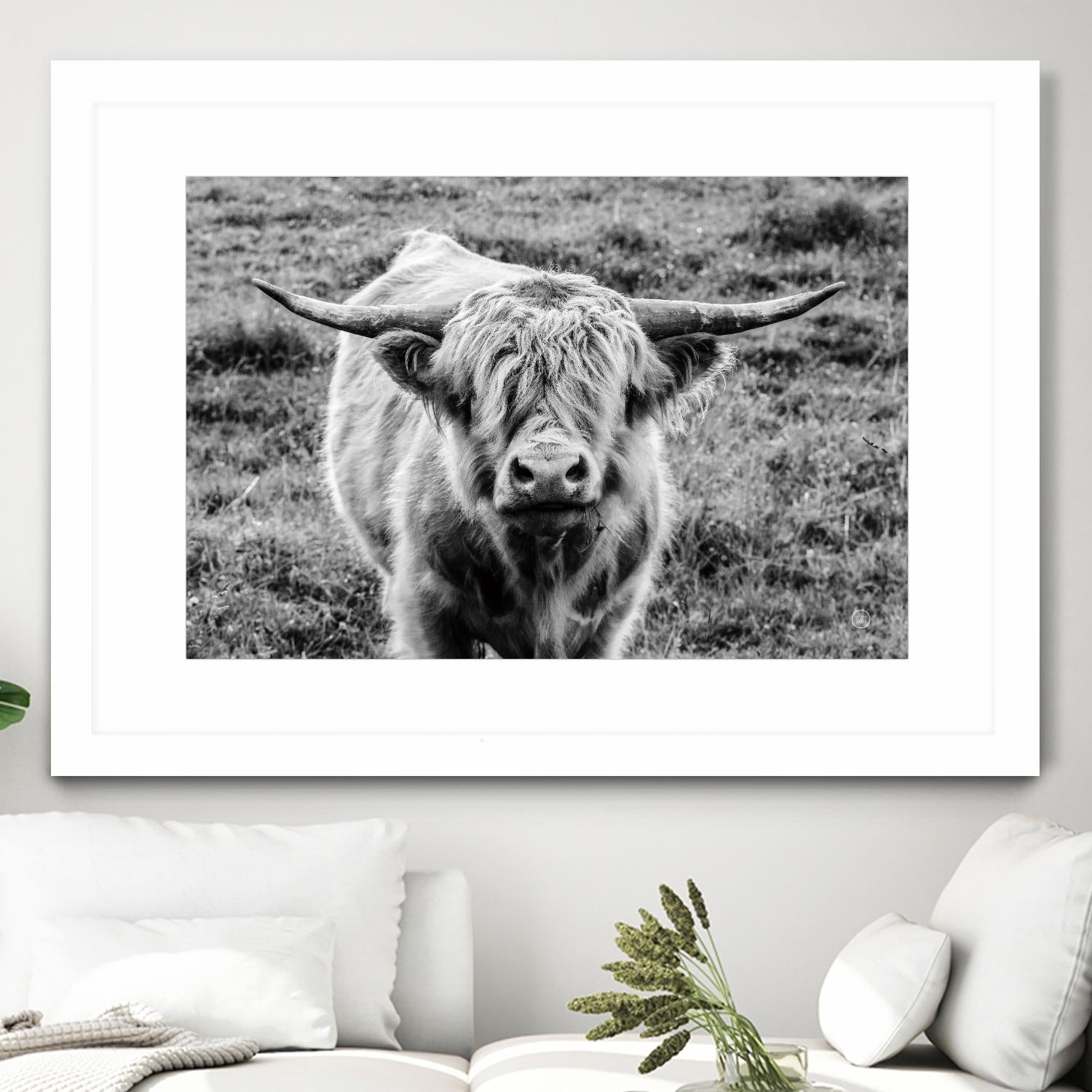 Highland Cow Staring Contest by Nathan Larson on GIANT ART - white animals highland cattle