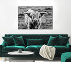 Highland Cow Staring Contest by Nathan Larson on GIANT ART - animals animals
