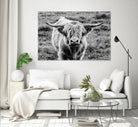 Highland Cow Staring Contest by Nathan Larson on GIANT ART - white animals highland cattle
