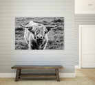 Highland Cow Staring Contest by Nathan Larson on GIANT ART - white animals highland cattle