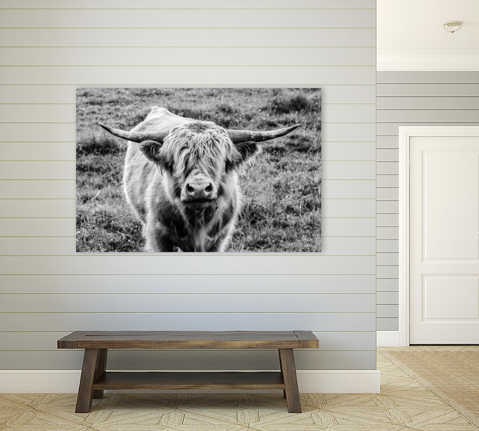 Highland Cow Staring Contest by Nathan Larson on GIANT ART - white animals highland cattle