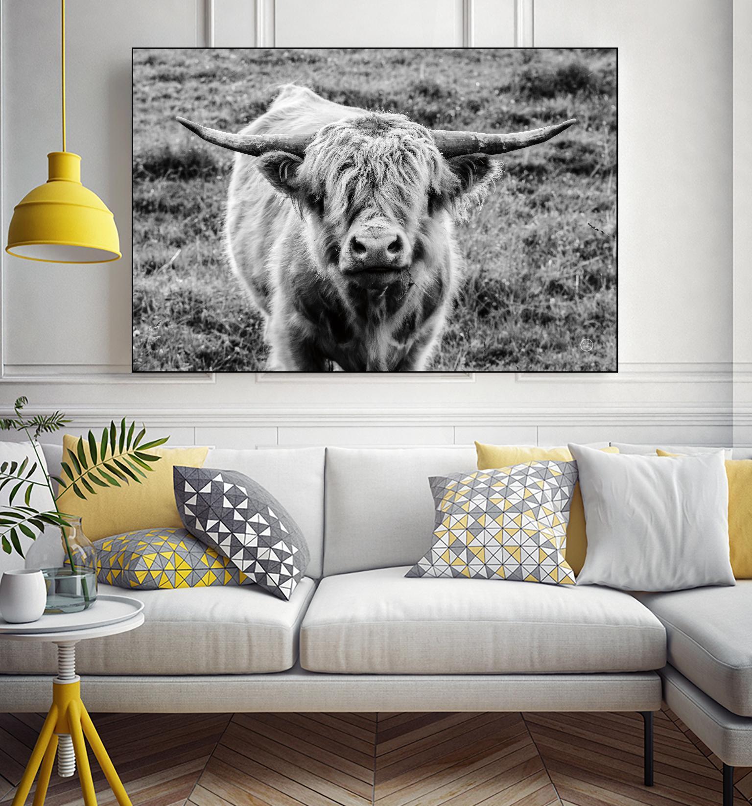 Highland Cow Staring Contest by Nathan Larson on GIANT ART - animals animals
